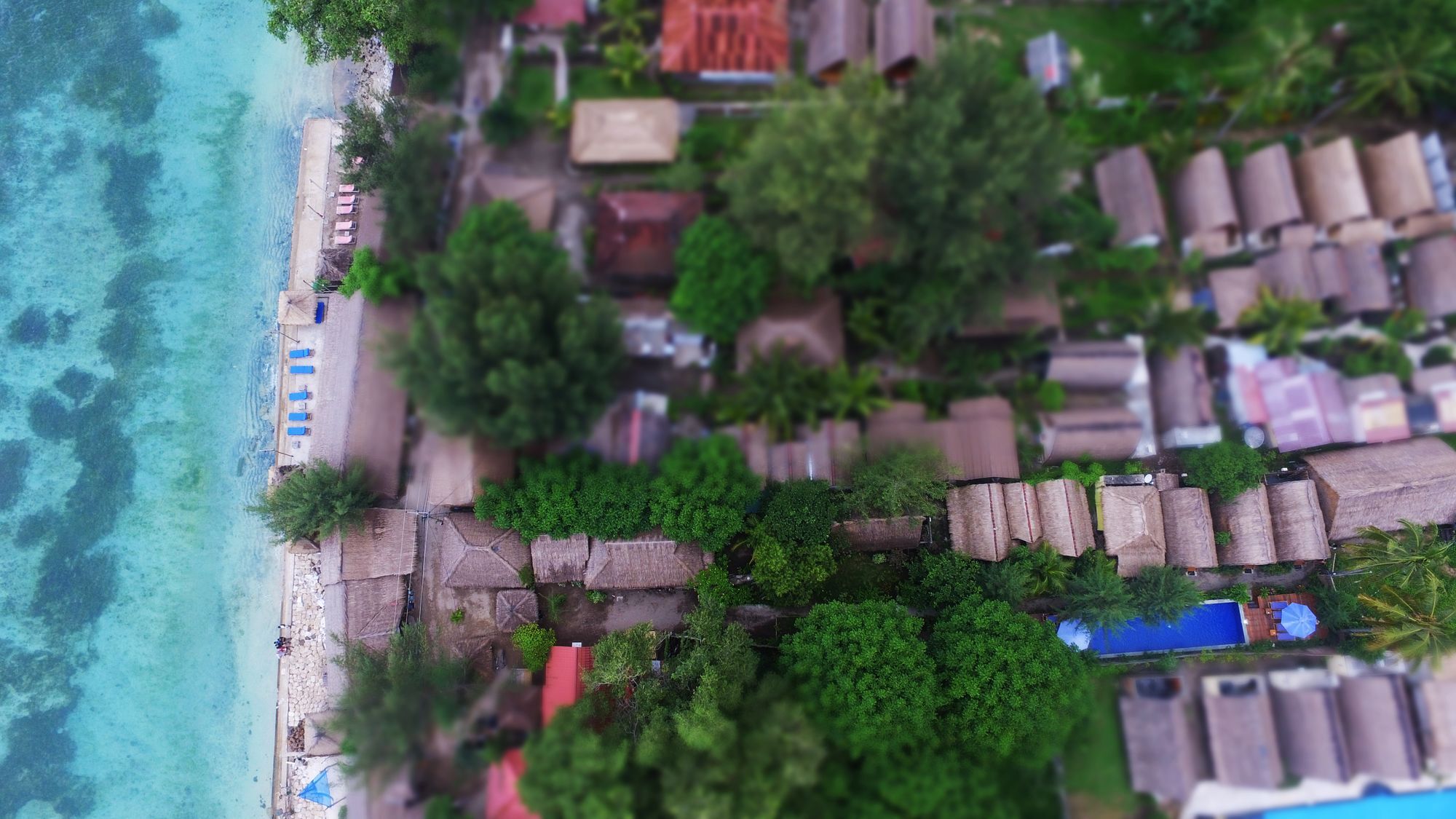 Damai Bungalows Gili Air Eksteriør billede
