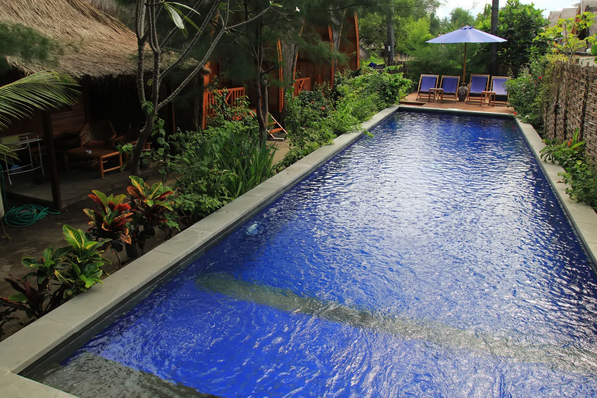 Damai Bungalows Gili Air Eksteriør billede