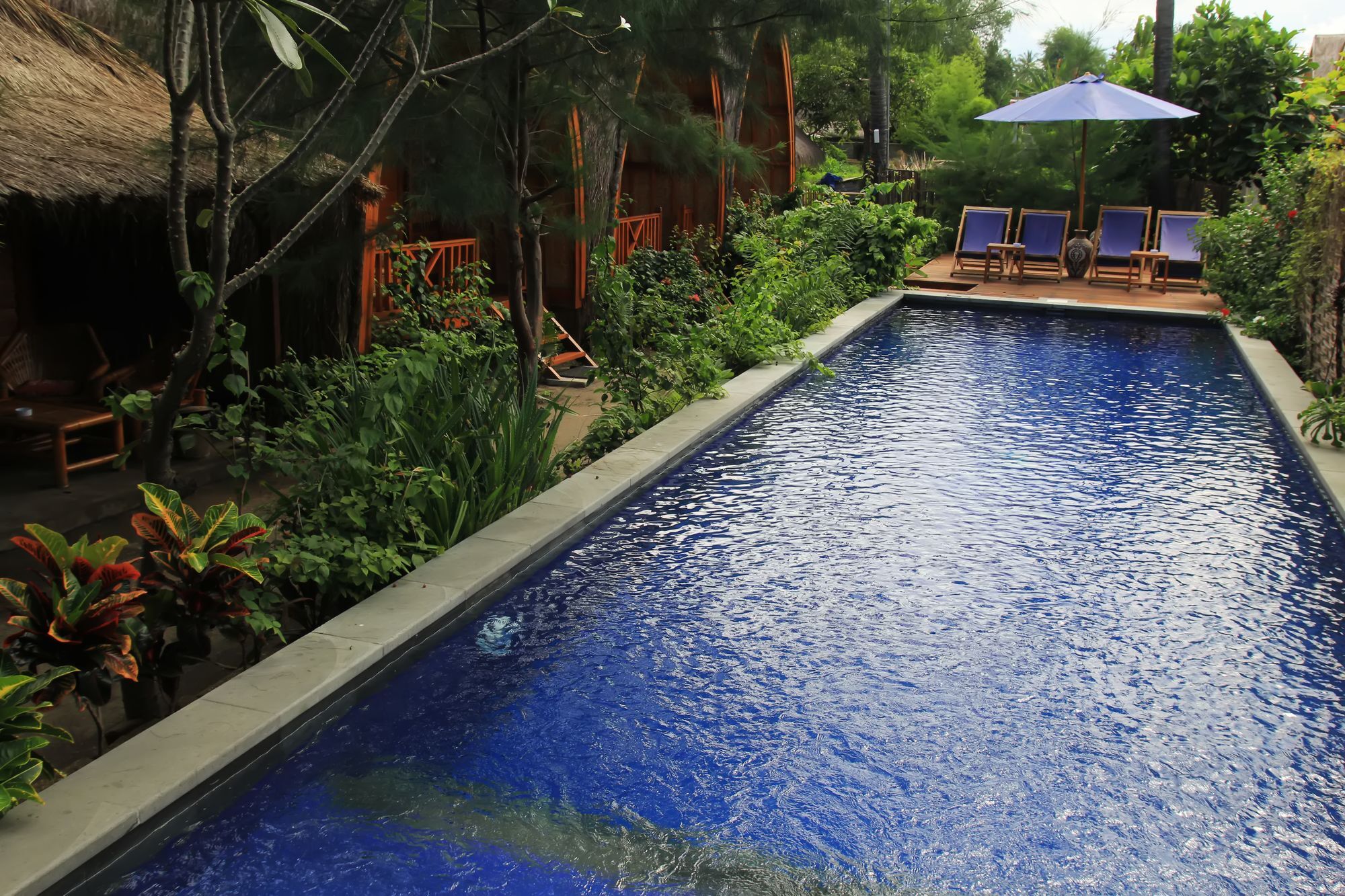 Damai Bungalows Gili Air Eksteriør billede